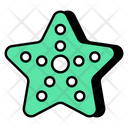 پیش‌نمایش فایل starfish-9475254 از پک سفر و تعطیلات کمپینگ