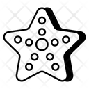 پیش‌نمایش فایل starfish-9475134 از پک سفر و تعطیلات کمپینگ
