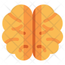 پیش‌نمایش فایل brain-10383684 از پک آموزش آنلاین و مدرسه