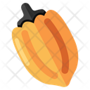 پیش‌نمایش فایل butternut-pumpkin-10401619 از پک غذا و سبزیجات