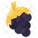پیش‌نمایش فایل grapes-10415653 از پک غذا و سبزیجات