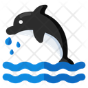پیش‌نمایش فایل dolphin-11094731 از پک سفر و حمل ونقل