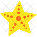 پیش‌نمایش فایل starfish-12701774 از پک سفر و تابستان