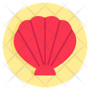 پیش‌نمایش فایل seashell-12701738 از پک سفر و تابستان