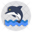 پیش‌نمایش فایل shark-12701732 از پک سفر و تابستان