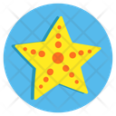 پیش‌نمایش فایل starfish-12701674 از پک سفر و تابستان