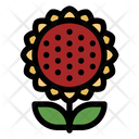 پیش‌نمایش فایل flower-8755214 از پک مزرعه