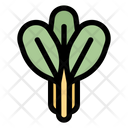 پیش‌نمایش فایل vegetable-9264490 از پک فروشگاه بزرگ