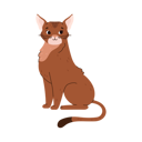 پیش‌نمایش فایل abyssinian-cat-breed-11904816 از پک گربه های کارتونی ناز که گاز می گیرند یا دراز می کشند