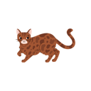 پیش‌نمایش فایل cute-bengal-cat-walking-11904818 از پک گربه های کارتونی ناز که گاز می گیرند یا دراز می کشند