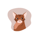 پیش‌نمایش فایل cute-smiling-abyssinian-cat-11904823 از پک گربه های کارتونی ناز که گاز می گیرند یا دراز می کشند