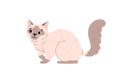 پیش‌نمایش فایل domestic-siamese-cat-11904815 از پک گربه های کارتونی ناز که گاز می گیرند یا دراز می کشند