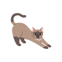 پیش‌نمایش فایل domestic-siamese-cat-11904821 از پک گربه های کارتونی ناز که گاز می گیرند یا دراز می کشند