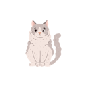 پیش‌نمایش فایل fluffy-ragdoll-cat-sitting-11904822 از پک گربه های کارتونی ناز که گاز می گیرند یا دراز می کشند