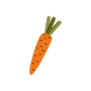 پیش‌نمایش فایل carrot-11909966 از پک تجهیزات مزرعه