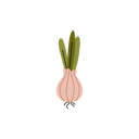 پیش‌نمایش فایل onion-vegetable-11909969 از پک تجهیزات مزرعه