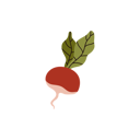 پیش‌نمایش فایل radish-vegetable-11909967 از پک تجهیزات مزرعه