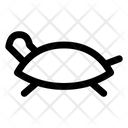 پیش‌نمایش فایل turtle-8554565 از پک زندگی