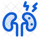پیش‌نمایش فایل kidneys-6220680 از پک دیابت