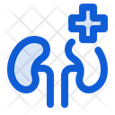 پیش‌نمایش فایل kidneys-6220681 از پک دیابت