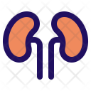 پیش‌نمایش فایل kidney-47 از پک جامپ آیکون - پزشکی (خط پر)