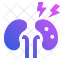 پیش‌نمایش فایل kidneys-7212251 از پک دیابت