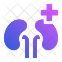 پیش‌نمایش فایل kidneys-7212252 از پک دیابت