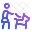پیش‌نمایش فایل dog-on-leash-7772062 از پک فروشگاه حیوانات خانگی