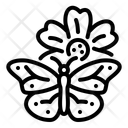 پیش‌نمایش فایل butterfly-13837799 از پک بهار