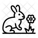پیش‌نمایش فایل rabbit-13837827 از پک بهار