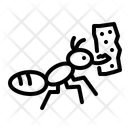 پیش‌نمایش فایل ant-14325139 از پک پیکنیک
