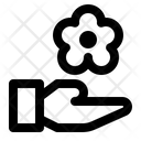 پیش‌نمایش فایل flower-1862145 از پک خدمات هتل