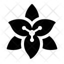 پیش‌نمایش فایل flower-3517161 از پک عید پاک