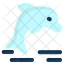 پیش‌نمایش فایل dolphin-7456606 از پک بوم شناسی