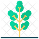 پیش‌نمایش فایل tree-7849584 از پک درخت