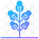 پیش‌نمایش فایل tree-7849634 از پک درخت