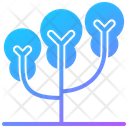پیش‌نمایش فایل tree-7849636 از پک درخت