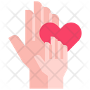 پیش‌نمایش فایل hands-6264473 از پک روز پدر