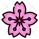 پیش‌نمایش فایل sakura-2539831 از پک جاپال
