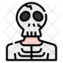 پیش‌نمایش فایل skeleton-2722373 از پک آواتار وحشت
