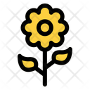 پیش‌نمایش فایل flower-13469384 از پک آب و هوا