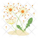 پیش‌نمایش فایل dandelion-flower از پک پودا اور پهول جنگلی فلیٹ