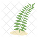 پیش‌نمایش فایل fern از پک پودا اور پهول جنگلی فلیٹ