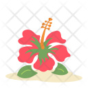 پیش‌نمایش فایل hibiscus-flower از پک پودا اور پهول جنگلی فلیٹ