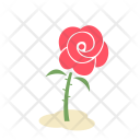پیش‌نمایش فایل rose-220 از پک پودا اور پهول جنگلی فلیٹ