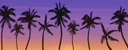 پیش‌نمایش فایل coconut-trees-at-beach-8699626 از پک منظره طبیعت