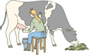 پیش‌نمایش فایل girl-is-feeding-cow-10704817 از پک کارگران