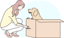 پیش‌نمایش فایل girl-is-playing-with-her-pet-dog-10976585 از پک عشق و رابطه