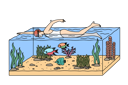 پیش‌نمایش فایل man-swims-in-tropical-sea-and-dives-in-large-aquarium-with-fish-and-underwater-plants-11506895 از پک فعالیت افراد