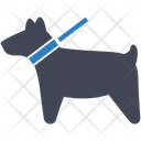 پیش‌نمایش فایل dog-2443616 از پک هتل و تعطیلات
